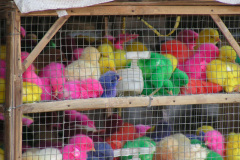 PICT7266