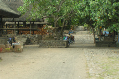 PICT7274