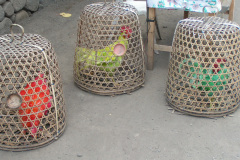 PICT7275