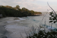PICT7293