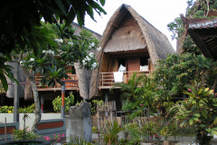 PICT7314