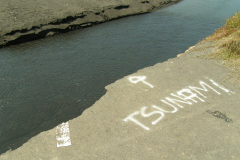 PICT7326