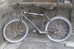 PICT7341