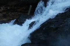 DSC00999