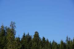 DSC01054