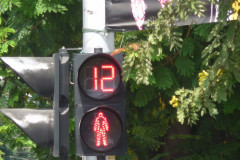 P1060566