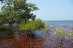 P1070365