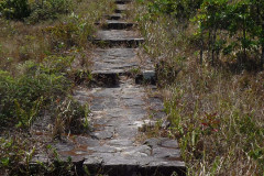 P1070475