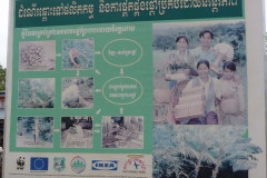 P1070529