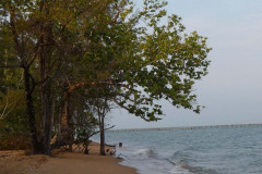 P1070567