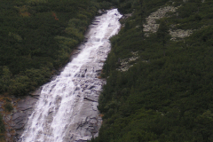 am Wegesrand zum Pfitscher Joch