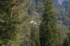 Im Rautal (Val di Rudo)
