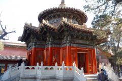 P1040352